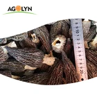 AGOLYN Fresh dried black morel mushrooms for sale