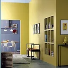 IMS Environmental-friendly Advanced Exterior Latex Paint for Exterior wall paint