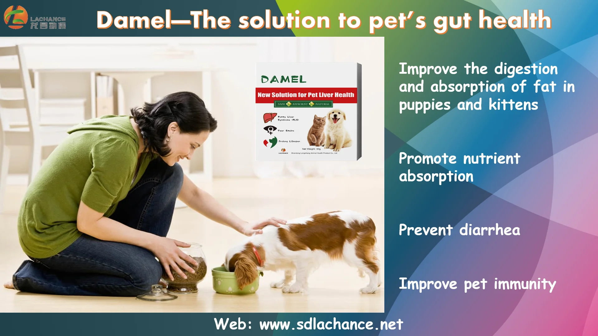  Discover the Ultimate Pet Planet: Your Go-To Guide for Pet Care, Products, and Services