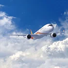 FedEx International Air Transport India Import and Export Logistics
