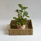 hand woven square seagrass storage tray shallow basket for plant