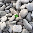 Nature Grey Pebble Stone Gravel for Landscaping