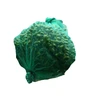 70*90cm 80*100cm date mesh bag,date net bag,date bag