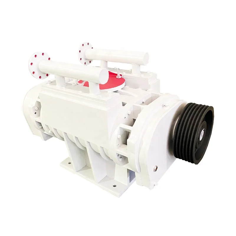 Roots Blower, RSR250, 380V-10KV, Pneumatic - detail 2