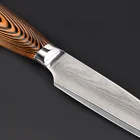 Japanese 7Cr17Mov Chef Knife 5 Inch Damascus Laser Steel Japanese Kitchen Knife