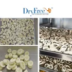 Agriculture Use Food Processing Tray Dryer Low Electricity Consumption Solar Dried Banana Machine For Farm