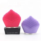 Best selling products silicone brush beauty facial cleansing brush rechargeable in america