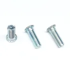 Screw Manufacturing Screws FH-M3-12 Zinc Plate PEM Pressure Riveting Screw