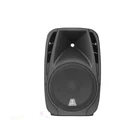 15 inch Powerful Music Player Digital Active Speaker Mmplifier Module