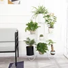 China Hot Sale Low Price Concrete Wire Metal Plant Stand For Home Decor