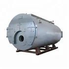 Food factory 5 ton steam boiler for juice cooking and sterilizing