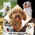 Anti-Lice and Fleas PET Cleaning and Grooming Products PET Shampoo for Dog Cat