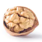 Hot sale Organic Walnut inshell nutritious Dry Fruit