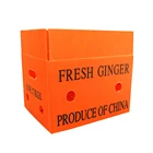 Plastic Box Boxes Plastic Plastic Corflute Box Corrugated Plastic Box For Seafood