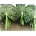UV proof artificial palm tree leaves /fan palm tree leaves for artificial palm tree