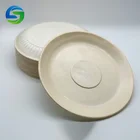 Eco-friendly Biodegradable Disposable Cornstarch Dinnerware+Set