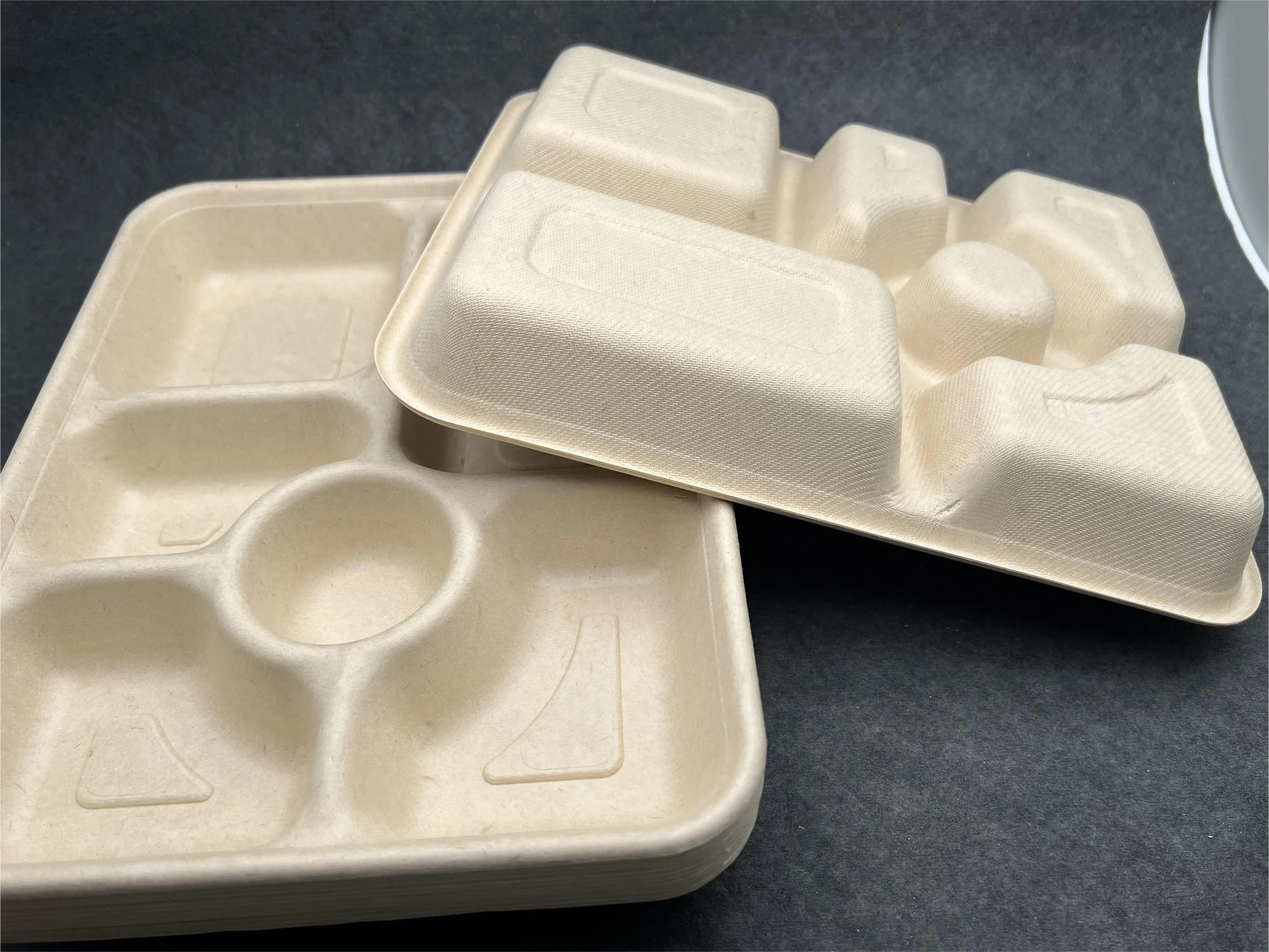 Customized Eco Friendly Biodegradable Sugarcane Bagasse Food Container