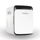 Portable Refrigerator 12V DC 10L Mini Fridge for Bottle