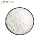 High Quality Baking Powder Alpha Amylase Enzyme