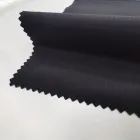 100% nylon 0.2 R/S taslan waterproof fabric with milky white TPU