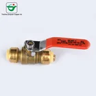 USA Standard Lead Free Brass Push fit Ball Valve with Drain