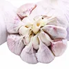 /product-detail/wholesale-cheap-price-natural-fresh-normal-garlic-62237863474.html