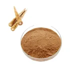 Natural Burdock Root Extract arctiin sea moss capsules burdock root extract
