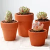 /product-detail/small-mini-clay-terracotta-cactus-flower-pots-ceramic-planters-succulent-pots-with-drainage-holes-62234657183.html