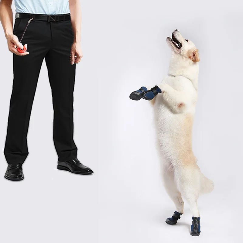 dog training clicker.jpg
