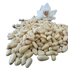 Pine Nut Nuts Factory Direct Raw Processing Pine Nut Kernels Pecan Nuts Pine Kernels