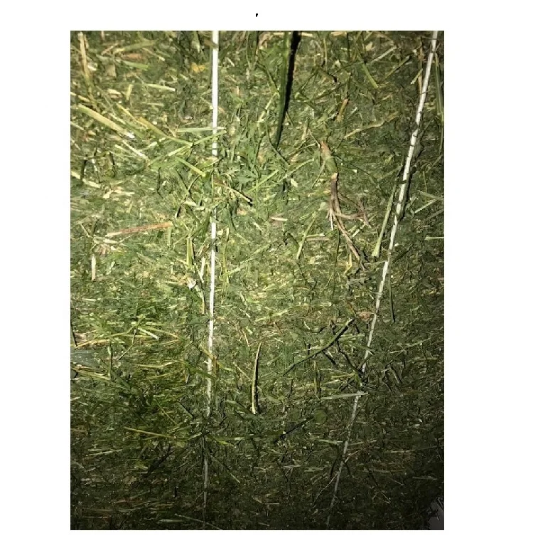 alfalfa hay,alfalfahay alfalfa hay for sale, 100% natural alfalfa hay for feed poultry
