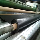 geomembrane HDPE liner cost swimming pool liner