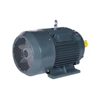 Good Quality Factory Price 15kw 2930 rpm YE2 160M2-2 three phase electric ac motor of China Supplier