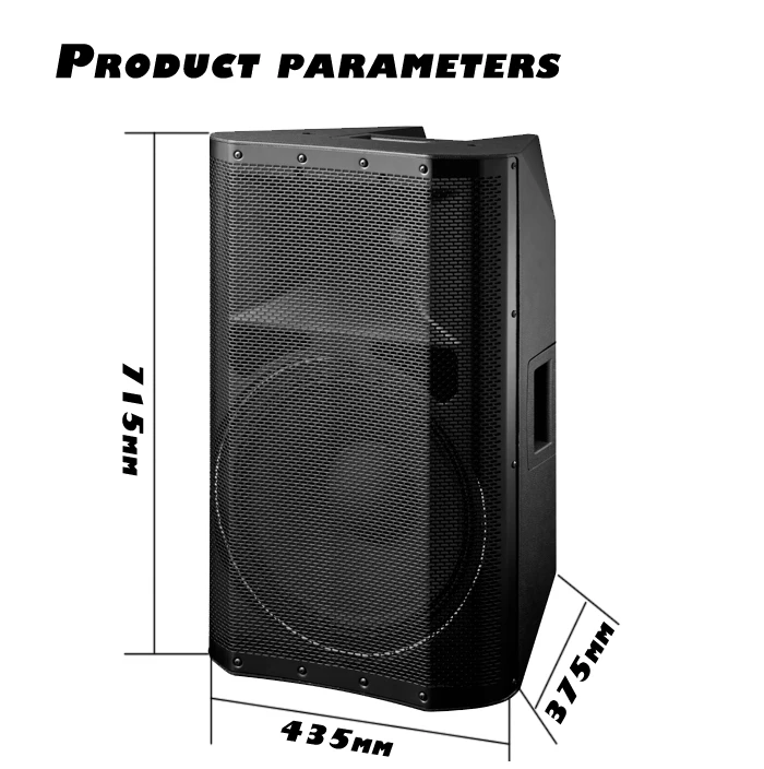 Polinata high power 15 inch subwoofer 350W Built-in DSP system portable speaker professional speaker box with Class D Amplifier - ANKUX.COM