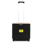 Cart Wholesale Factory Hand Push Plastic Rolling Foldable Shopping Trolley Cart With Density Board Lid
