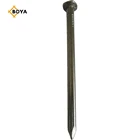Polished common nail with 1 kilo in plastic bag and packed in cartons for 20 kilos