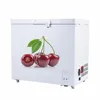 /product-detail/dc-compressor-solar-battery-powered-fridge-freezer-bdbc-108l-158l-208l-268l-358l-508l-car-mini-camping-deep-freezer-62336945249.html