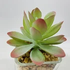 Succulents Plant High Quality Wholesale Green Potted Succulents Artificial Decorative Bonsai Plant