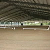 Agriculture steel structure building/steel structure indoor horse riding arena
