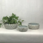 Decoration Modern Europe Indoor And Outdoor Cement Bowl Pots With Popular Leaf Design Garden Decoration
