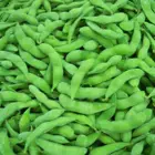Wholesale IQF Green Soy Beans