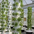 Hydroponic Nft Vertical NFT Hydroponic Garden Tower For Greenhouse Growing Systems