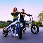 20 inch Fat tires Beach bike Snow bike Aluminum alloy Frame 48V 250W 500W 750W suspension Folding Electric Bike