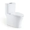 Sanitary ware high-efficient one piece western toilet standard size price