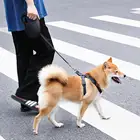 Free Sample No MOQ Patents Possessed Auto Safety Retracting Pet Lead Retractable Dog Leash