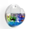 /product-detail/small-ornamental-goldfish-home-decoration-semi-circular-acrylic-wall-mounted-aquarium-62237983728.html