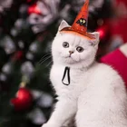 Pet halloween costume cat dog hat headdress pet costume halloween