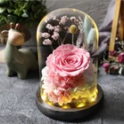 Party Wedding Gifts Preserved Immortal Flowers Eternal Dried Flower Glass Cover Birthday Party Wedding Girlfriend Gifts