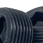Hex Socket Screw Din906 Hex Socket Pipe Plugs Screw