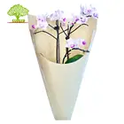2020 New Design Popular Style Hard Grade Portable Folded Kraft Sleeve Plant Cover Paper Bag With U Shape 50 Gram